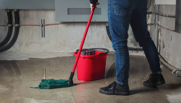 Best Fire Damage Restoration  in Blackhawk, SD