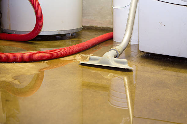 Best Water damage restoration company  in Blackhawk, SD
