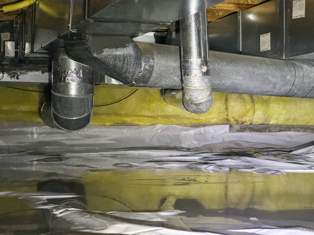 Best Professional water damage repair  in Blackhawk, SD