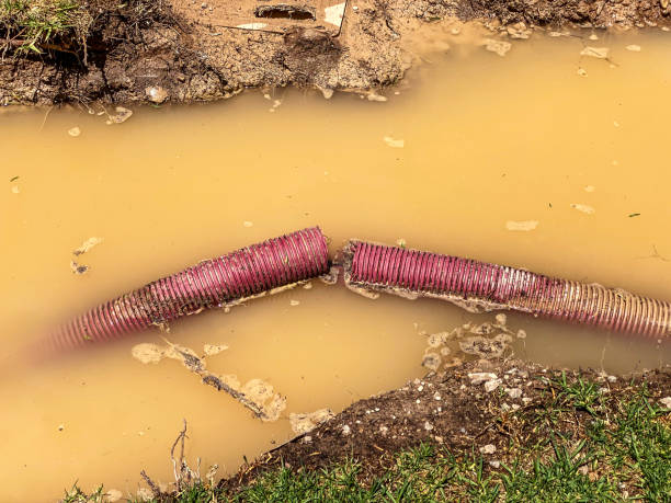 Best Water damage restoration specialists  in Blackhawk, SD